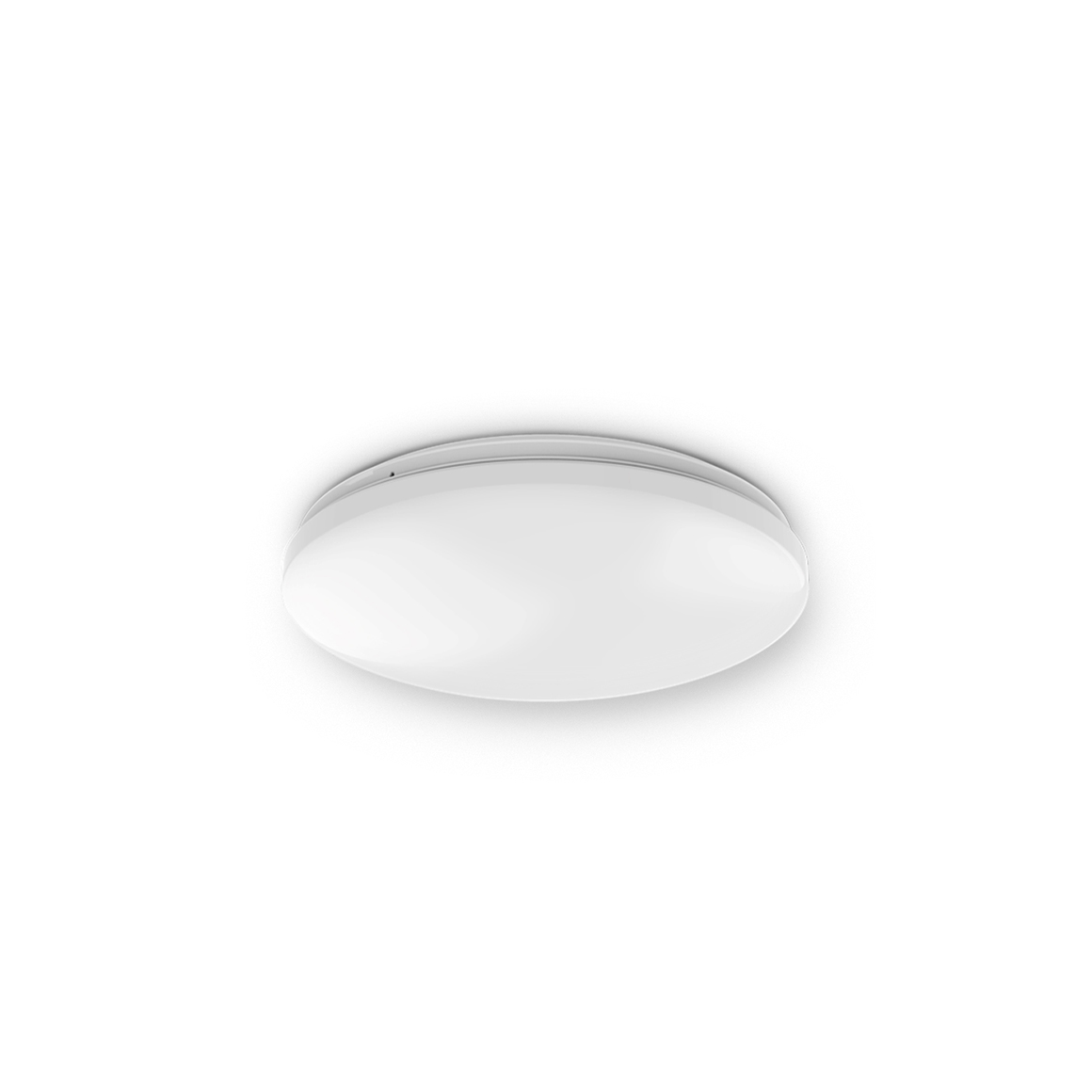 Ordinary Ceiling Light_C4b