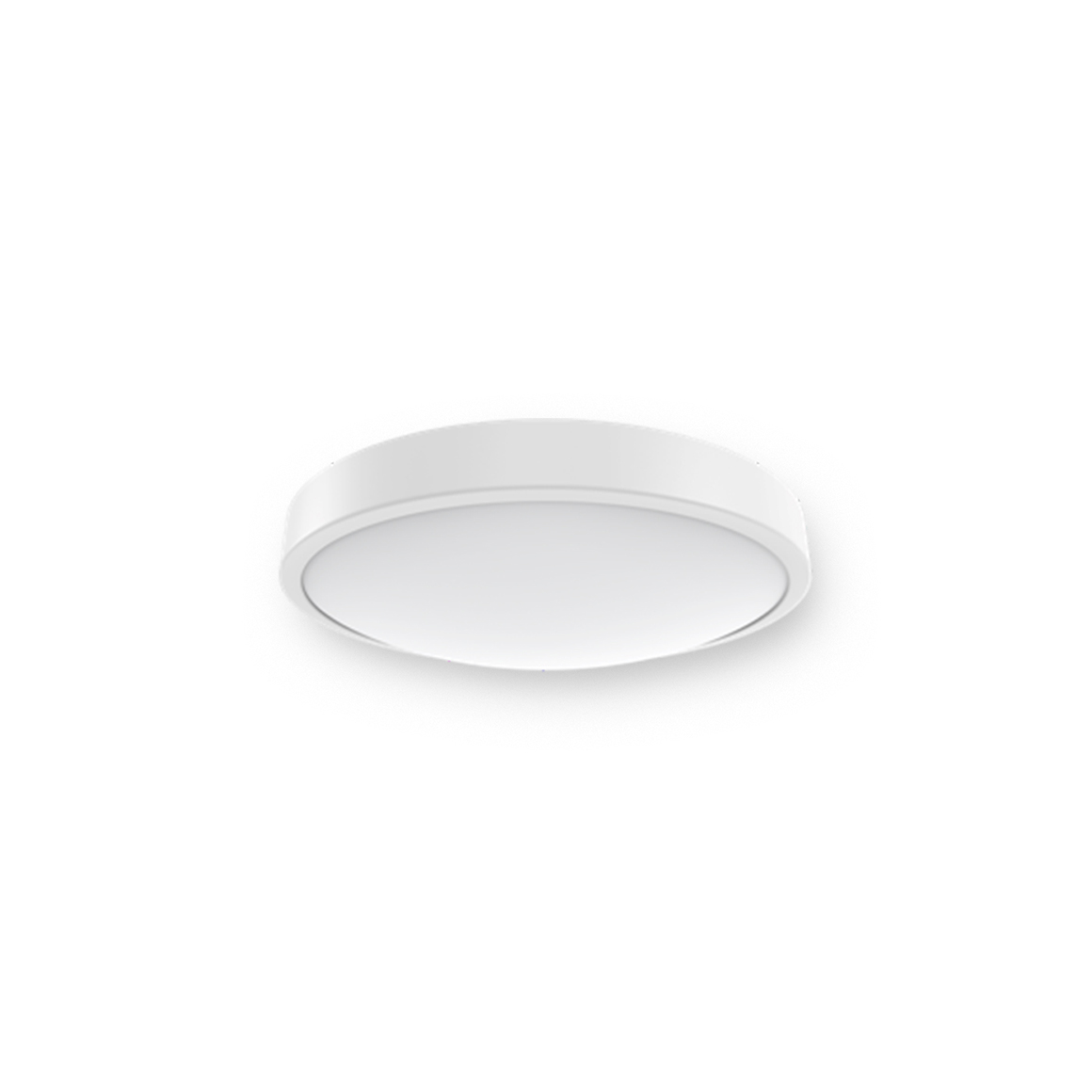 Ceiling  Light_C4b_Wall switch