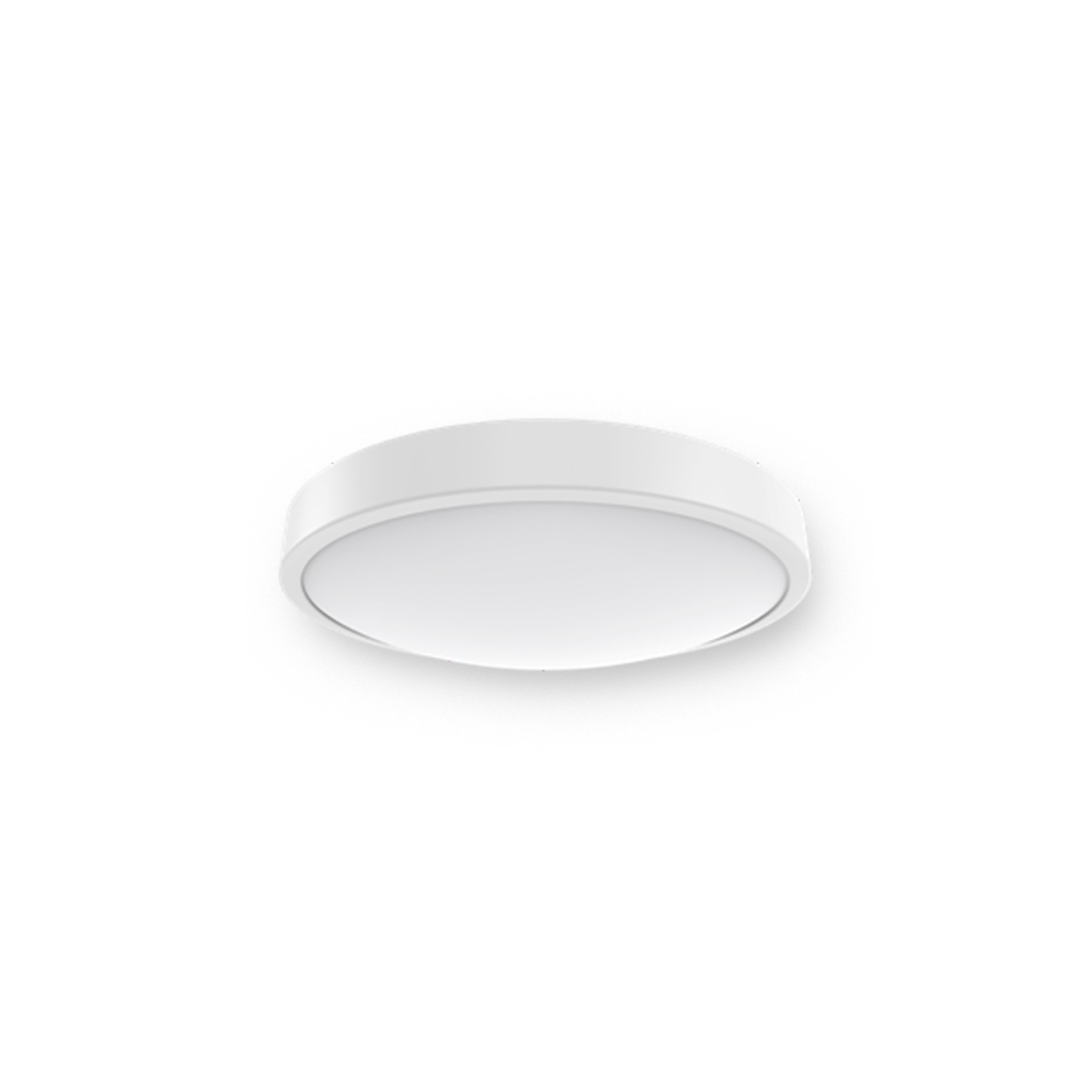 Ceiling  Light_C4b_Wall switch