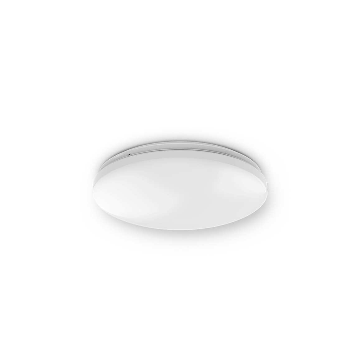 Ceiling Light_C4b_Wall switch