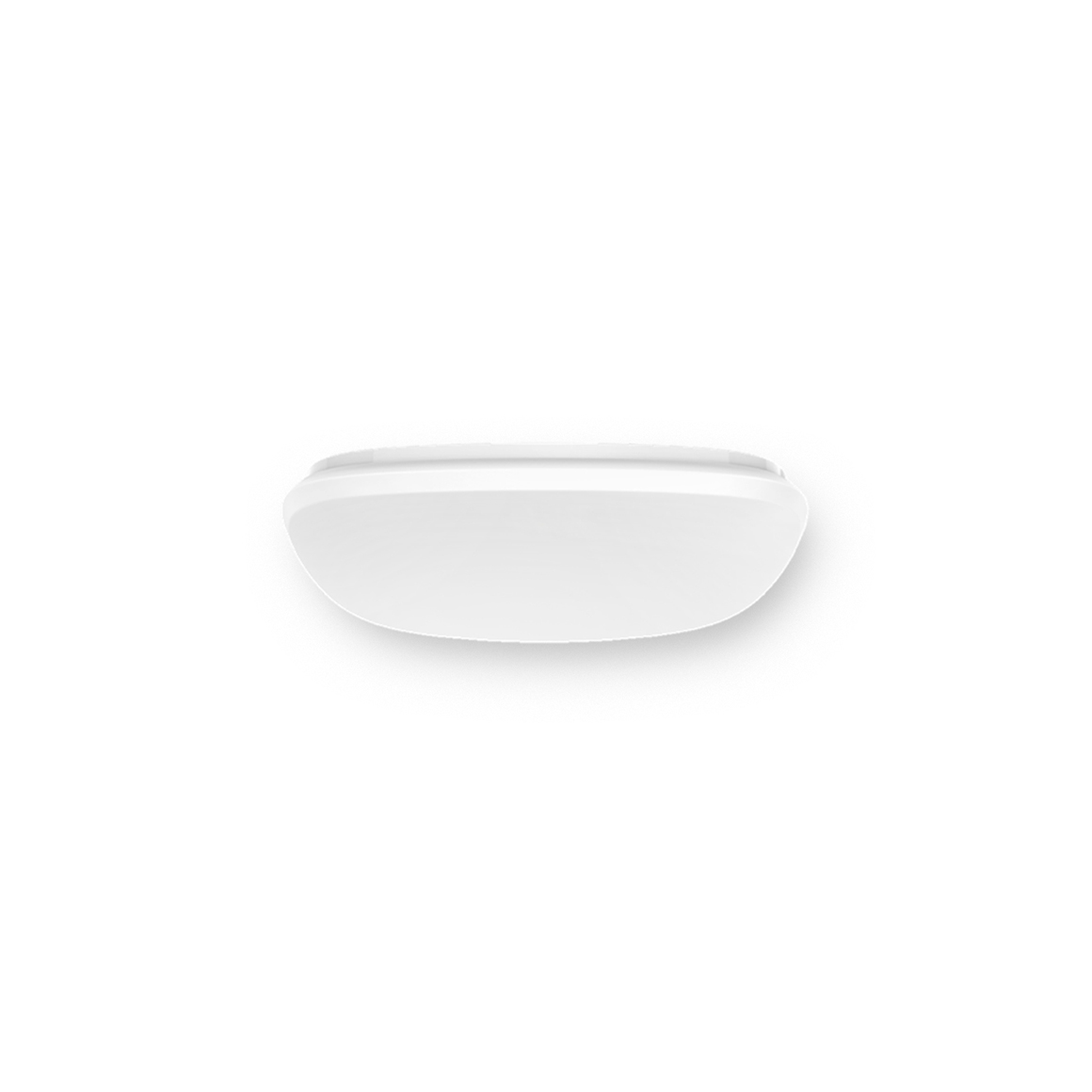 Ordinary Ceiling Light_C4c