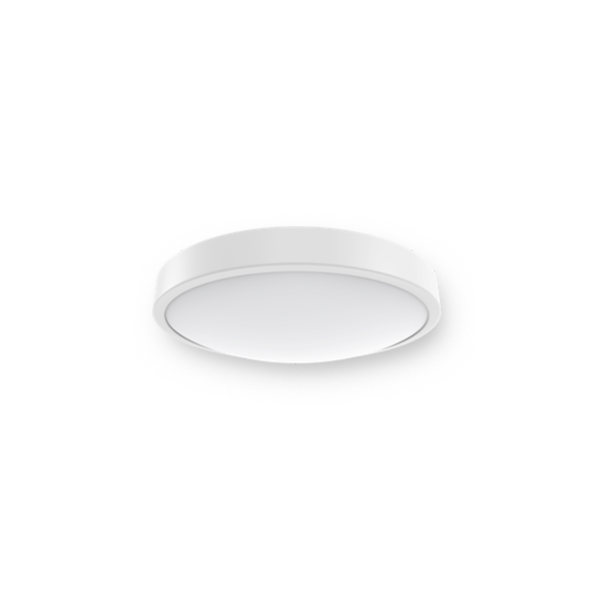 Ceiling  Light_C4b_Remote Control