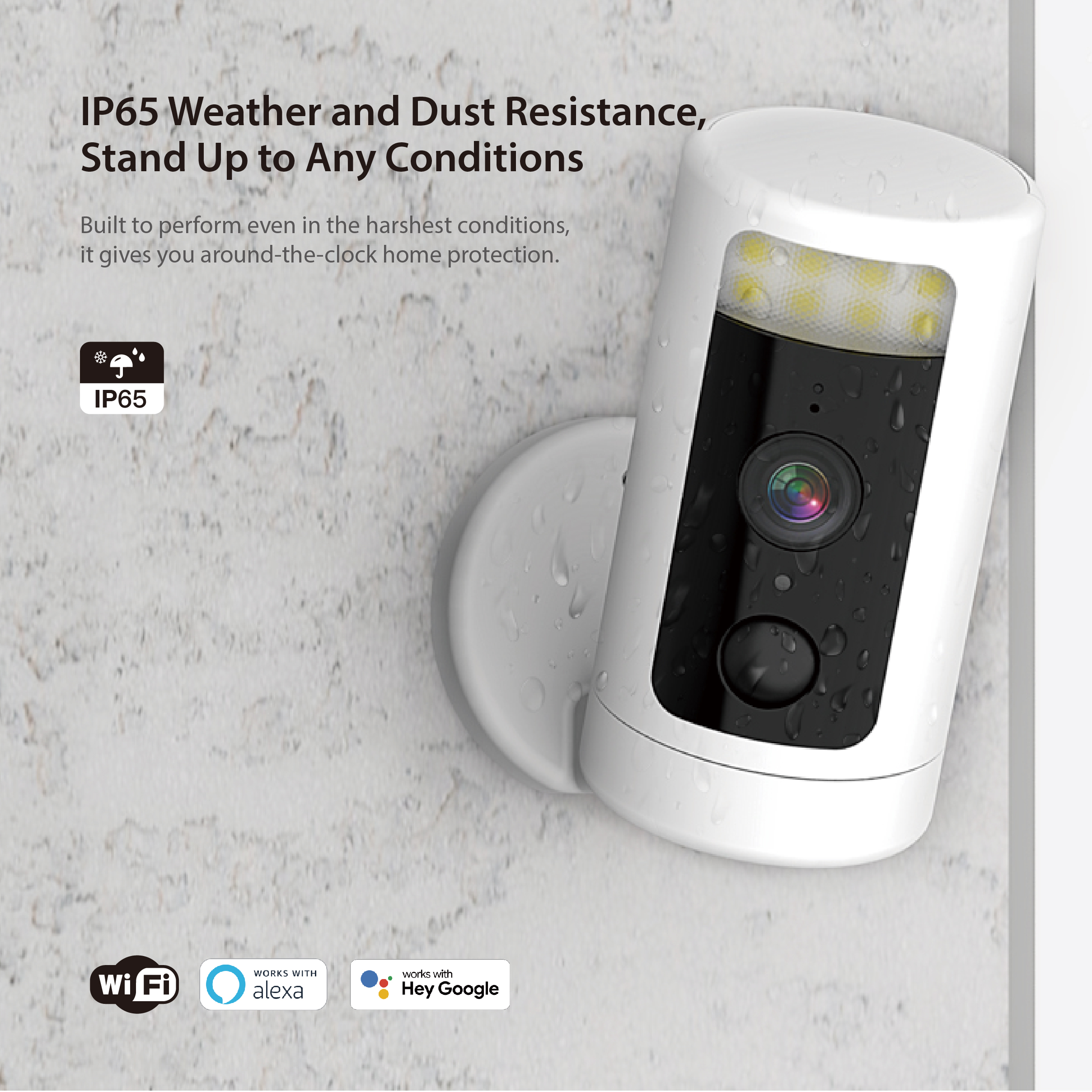 Outdoor Indoor Smart PTZ Camera				