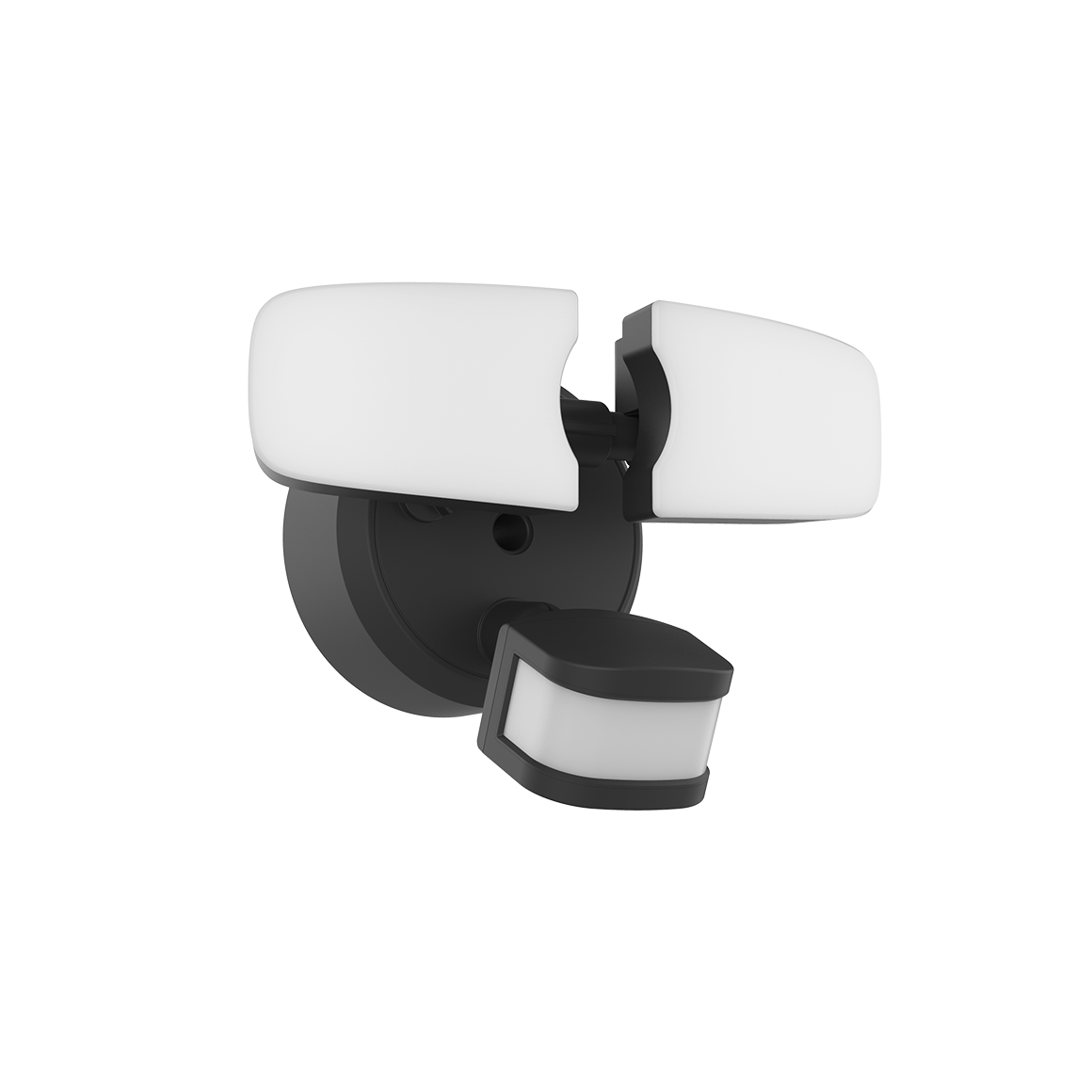 LED twin heads motion flood light_Israel