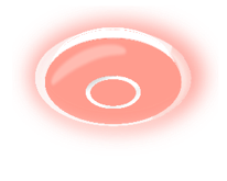 Ceiling Light_Smart Bailey